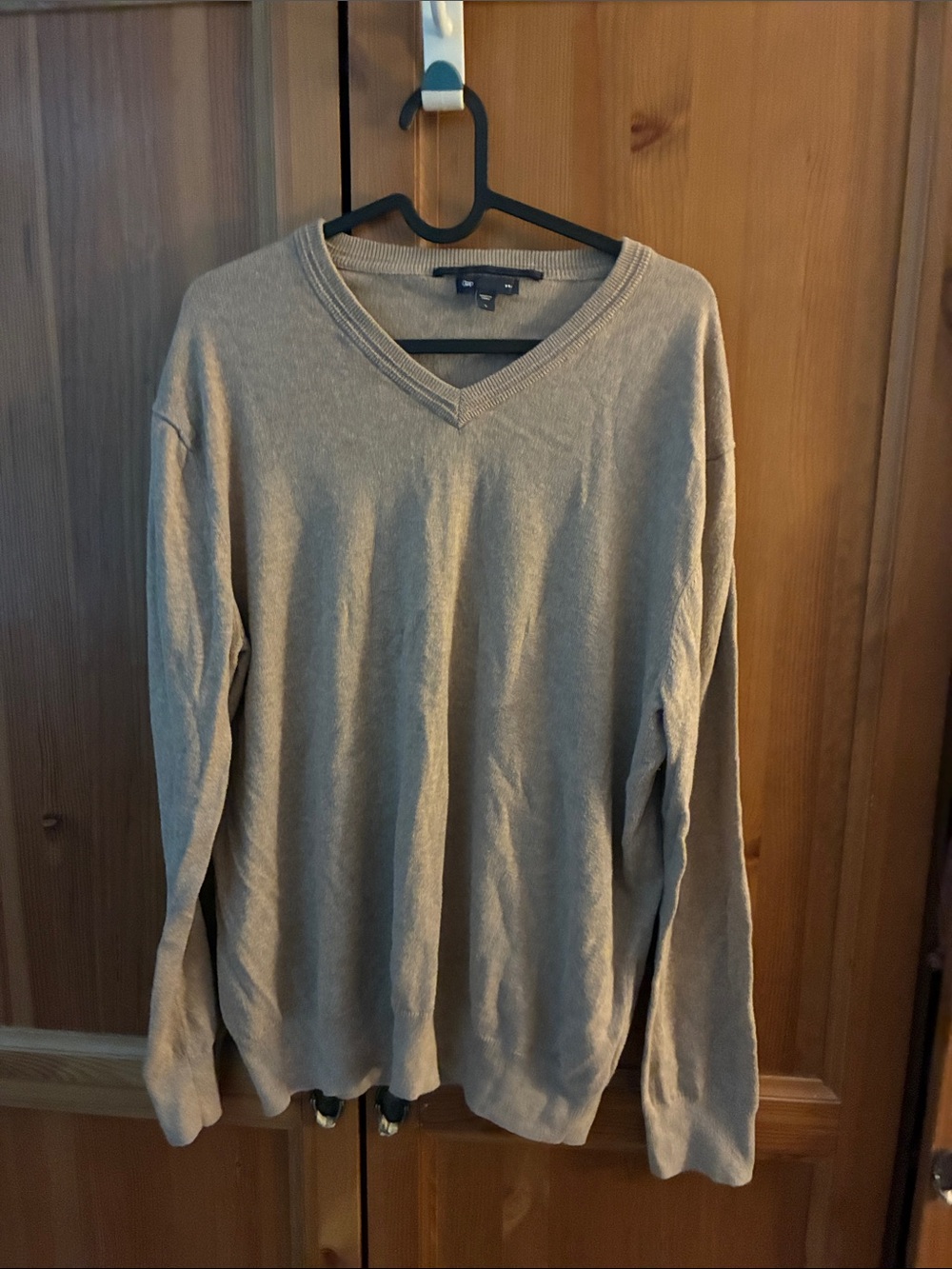 GAP Men's V-Neck Sweater in Beige